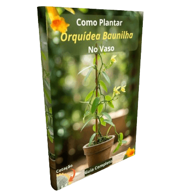 Ebook como plantar orquídea baunilha no vaso